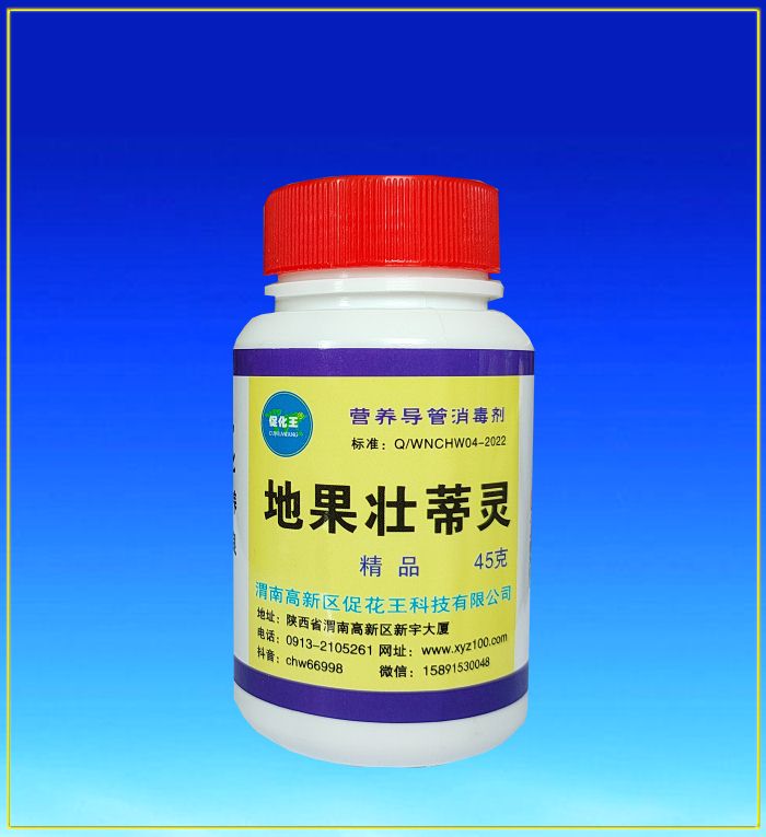 地果1.jpg 地果1.jpg