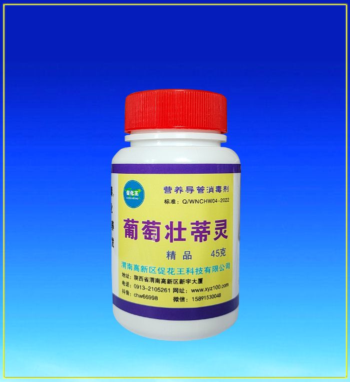 葡萄1.jpg 葡萄1.jpg